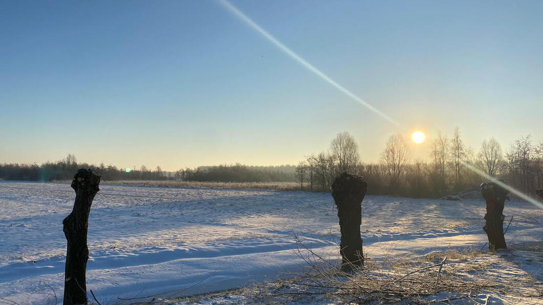 Winters agrarisch landschap
