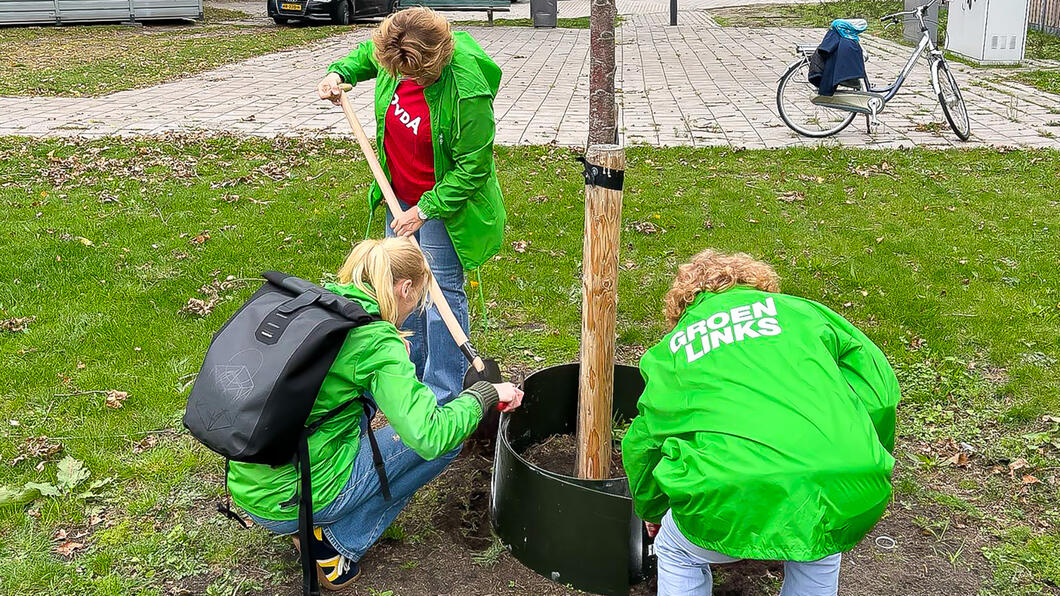 Drie campagnevoerders helpen met het aanbrengen van een gietrand rond een jonge boom.
