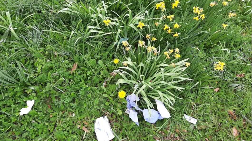 Bloemen in het gras op de hoek van de Nieuwe Damlaan en de Burgemeester van Haarenlaan