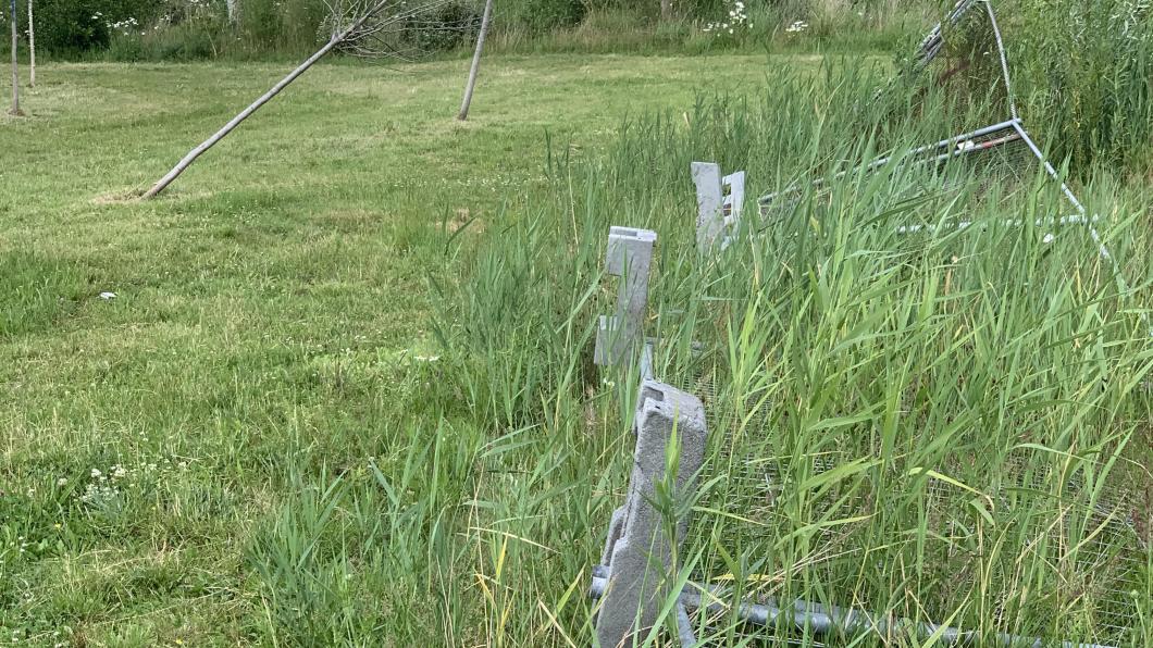 Foto van de dode en geknakte bomen en omgevallen afrastering bij het sportpark A4