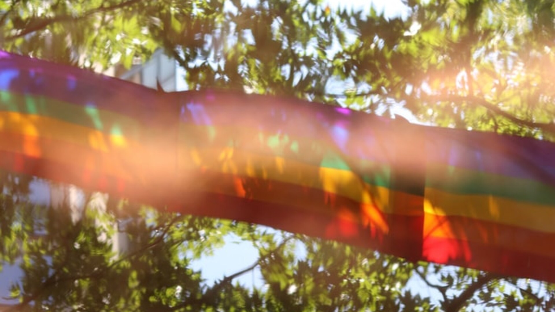 Weerspiegeling in het water van Pride-vlaggen voor bomen