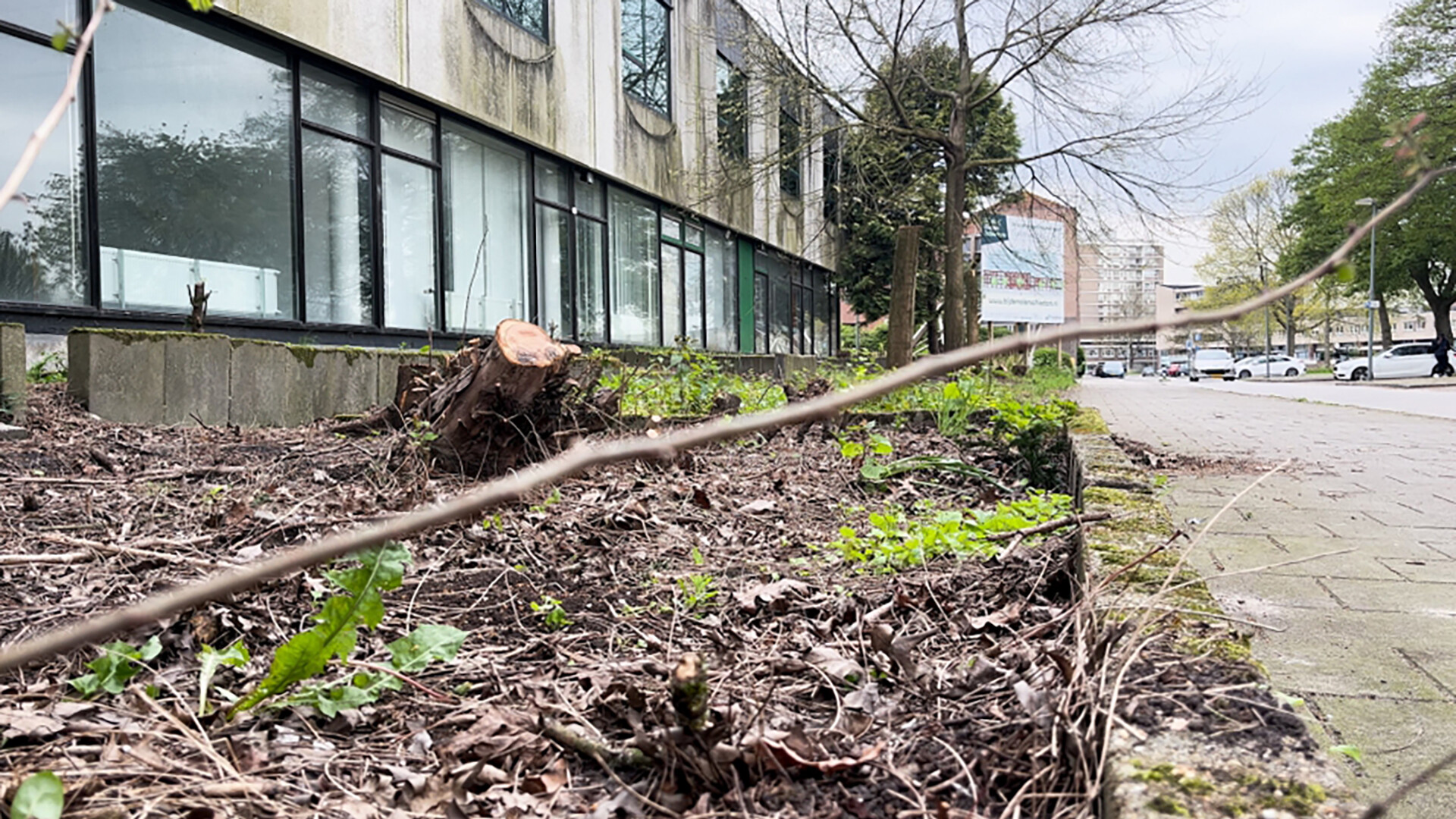 Kaalslag bij bouwproject 'Bij de molen' aan de BHG-laan