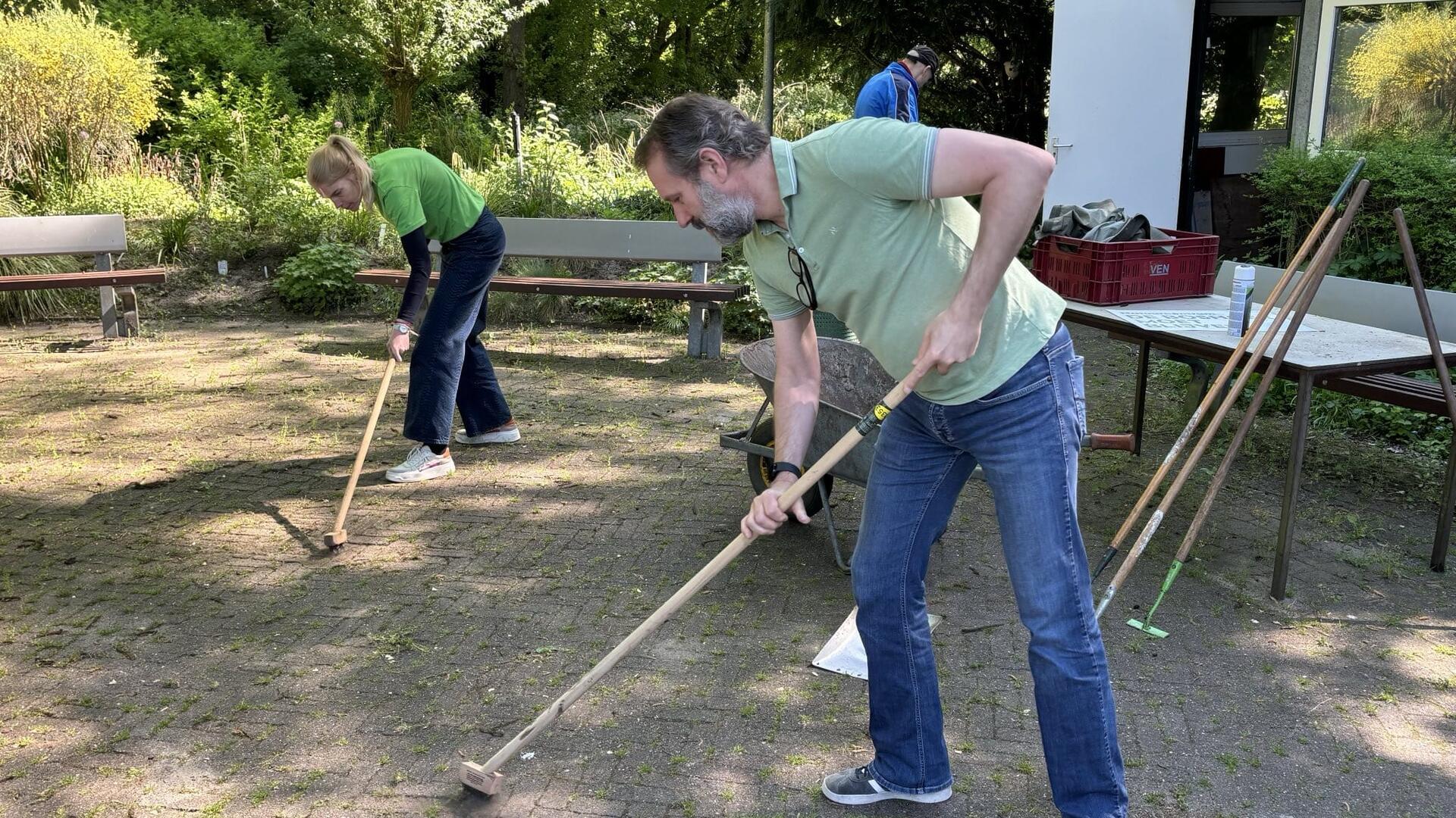 GroenLinks-raadsleden Carlien Schoondermark en Yorick Haan borstelen het onkruid weg van het terras.