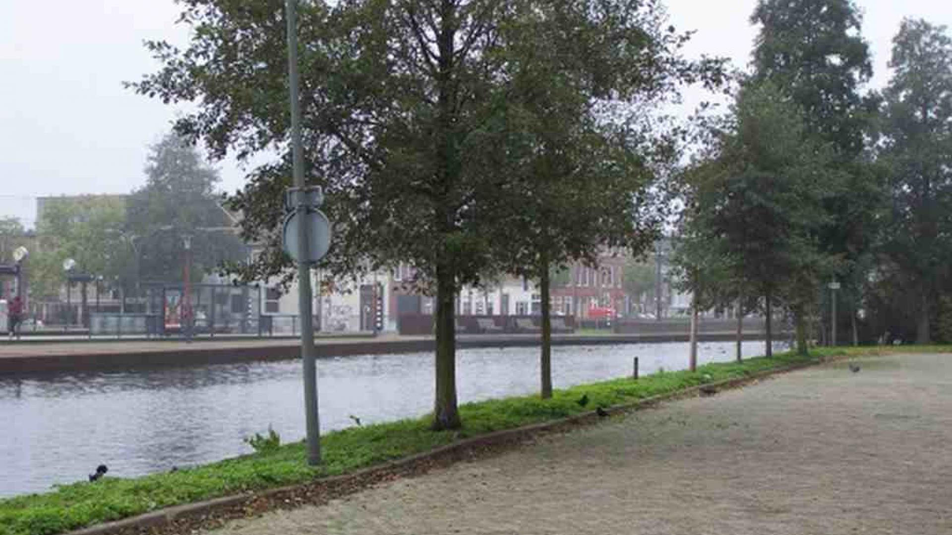 Bomen langs de ’s-Gravenlandsekade - Delflandseweg